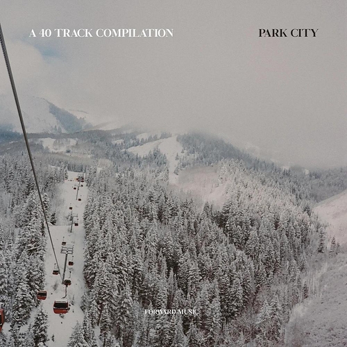 VA - A 40 Track Compilation Park City [FM062LP]